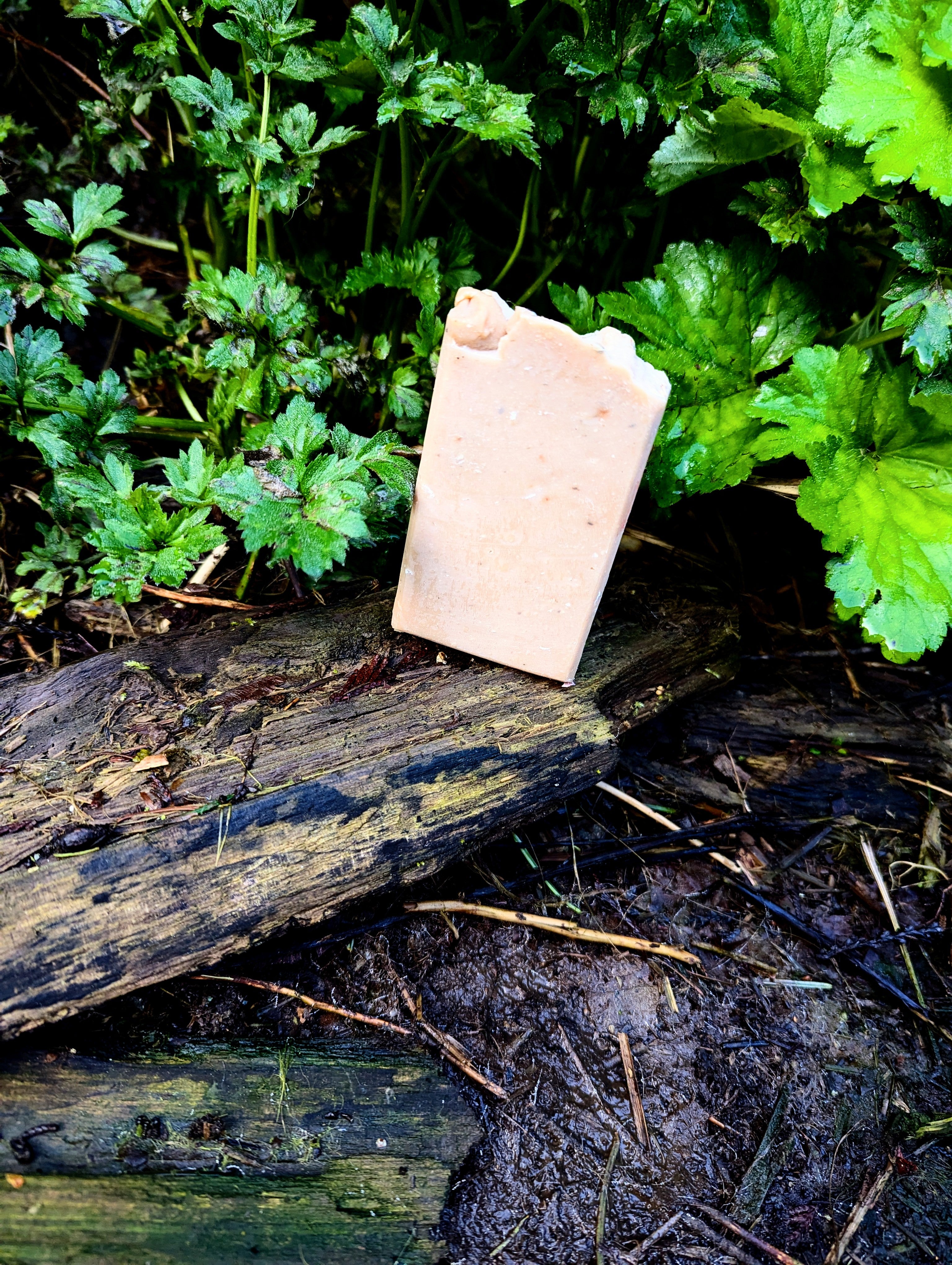 Orange Clove Lard Soap