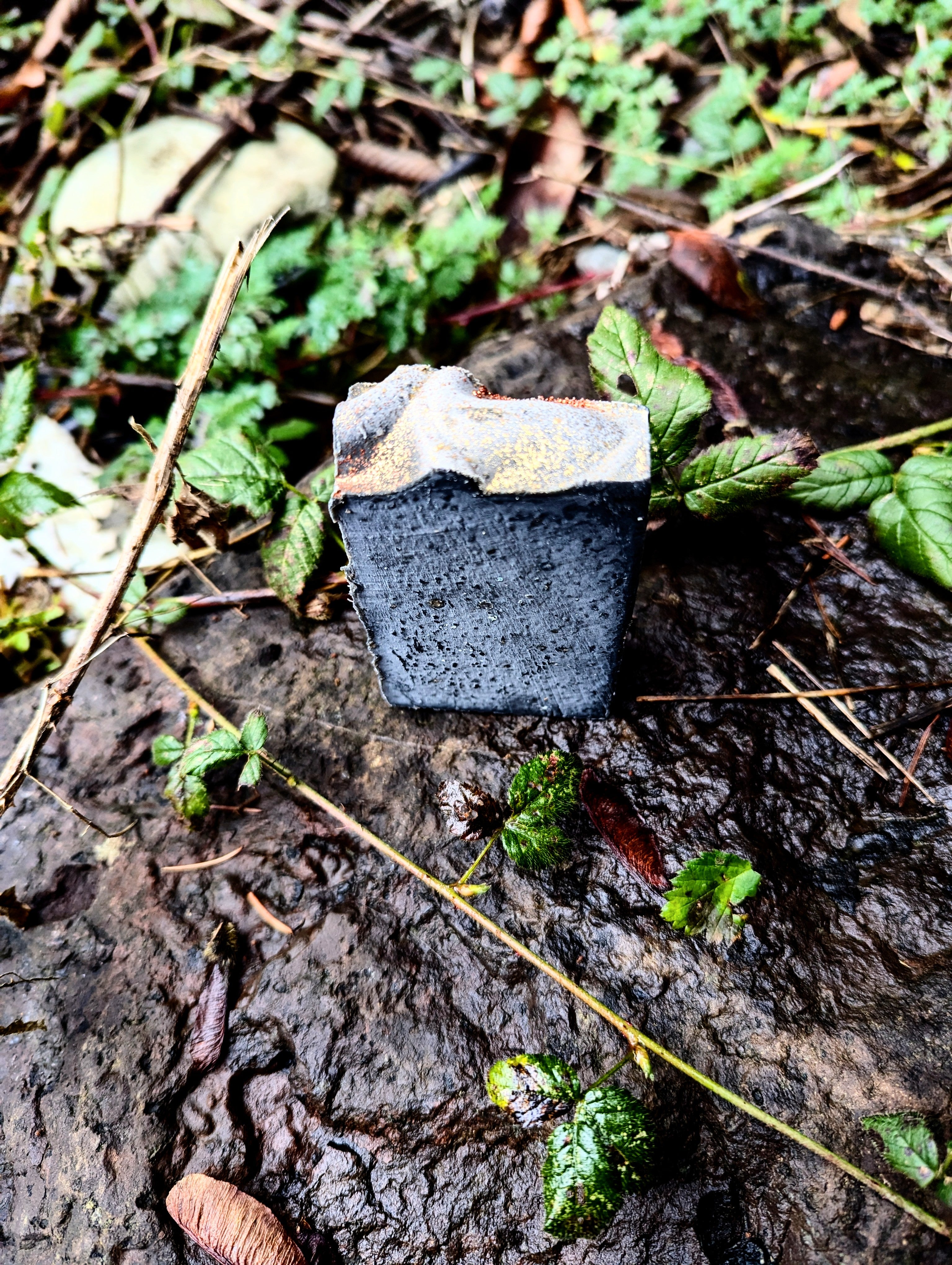 Naughty Lard bar soap