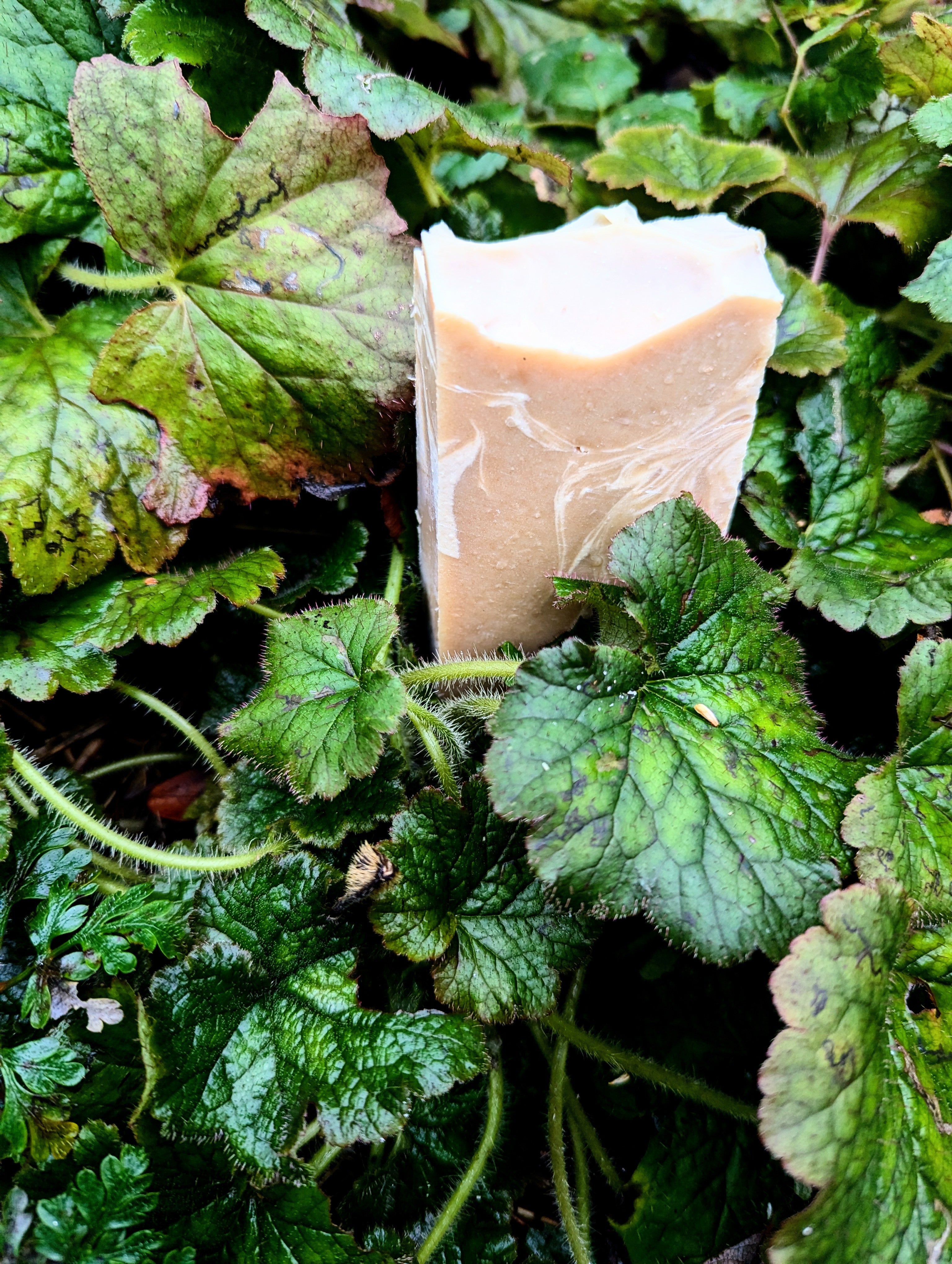 Loaf of Soap