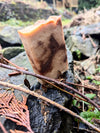 Vanilla Sandalwood Lard Bar soap