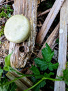 Lavender Vetiver Conditioner Bar